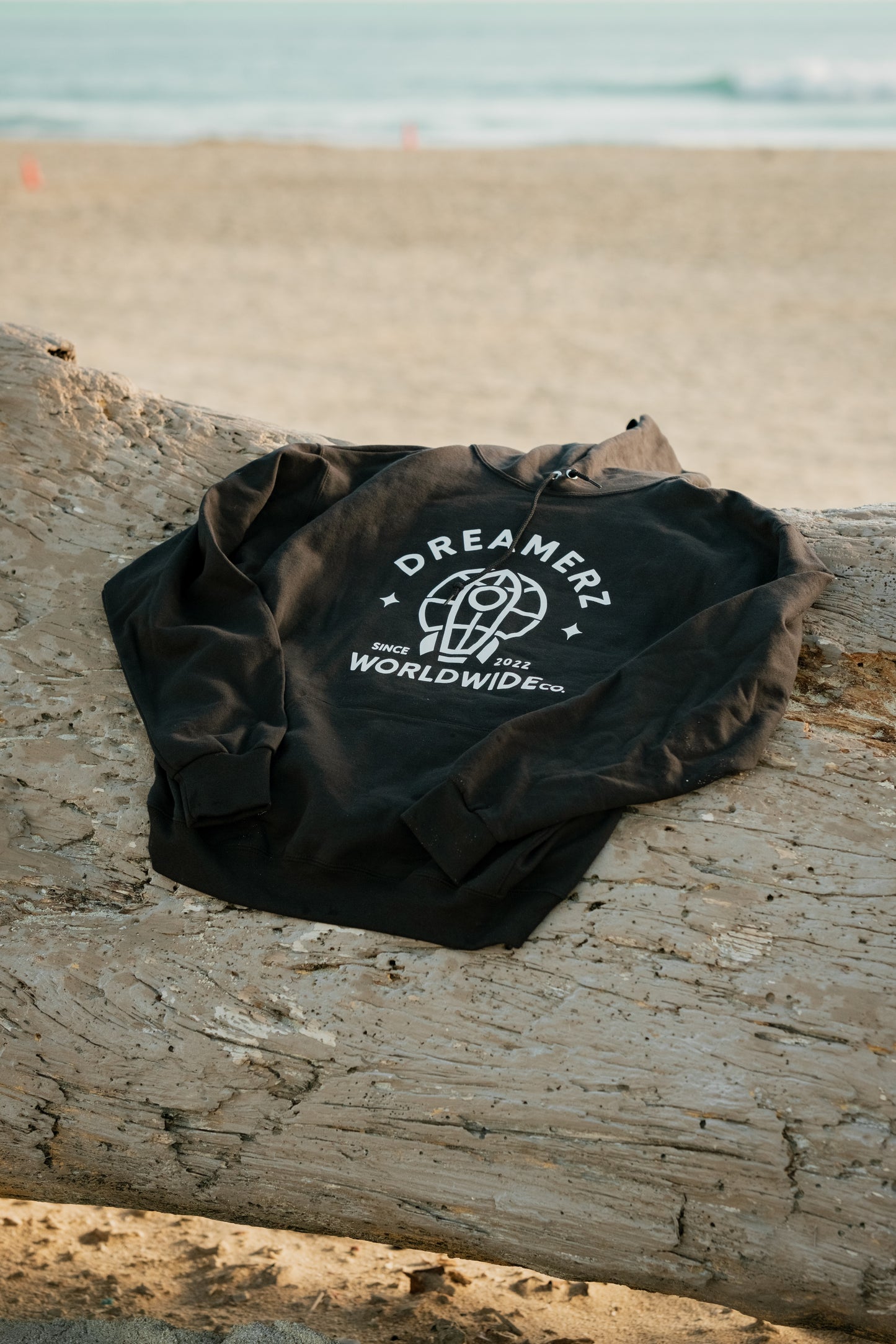 Dreamerz DIFHSS Hoodie